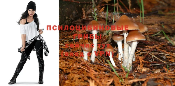 ALPHA PVP Касимов